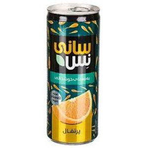 رانی سانی نس